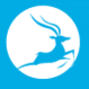 Unternehmensprofil Kingkey Intelligence Culture Holdings