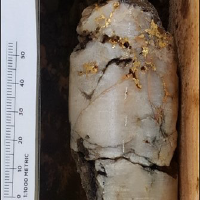 Unternehmensprofil Aurion Resources Ltd