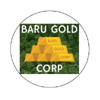 Unternehmensprofil Baru Gold Corp