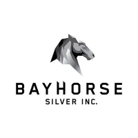 Unternehmensprofil Bayhorse Silver Inc