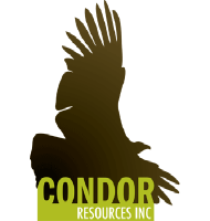 Unternehmensprofil Condor Resources