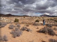 Unternehmensprofil Lion Copper & Gold Corp