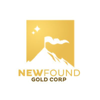 Unternehmensprofil New Found Gold Corp
