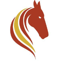 Unternehmensprofil Pasofino Gold Ltd