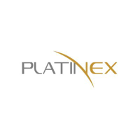 Unternehmensprofil Platinex