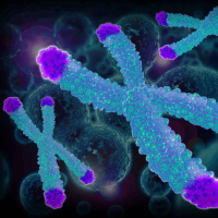 Unternehmensprofil Telo Genomics Corp