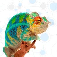 Unternehmensprofil Chapters Group AG