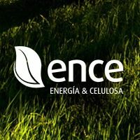 Unternehmensprofil Ence Energía & Celulosa SA