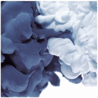 Unternehmensprofil BAIKOWSKI SAS