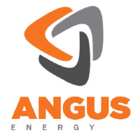 Unternehmensprofil ANGUS ENERGY PLC  LS-,002