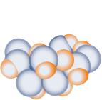 Unternehmensprofil POLYPID LTD.