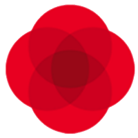 Unternehmensprofil Banca Ifis