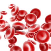 Unternehmensprofil Sysmex