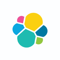 Unternehmensprofil Elastic NV