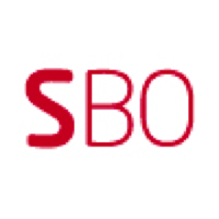 Unternehmensprofil SELVAAG BOLIG AS     NK 2