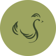 Unternehmensprofil SCANDI STANDARD AB (PUBL)