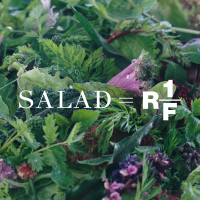 Unternehmensprofil FTAC Emerald Acquisition Corp