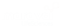 Unternehmensprofil Maravai Lifesciences Holdings Inc