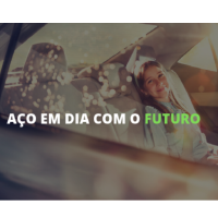 Usinas Siderurgicas de Minas Gerais SA-Usiminas (A)